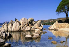 kaiyun-拜仁观众热烈欢呼！，西亚卡姆迎来三赛季出色发挥引发球迷热议-kaiyun